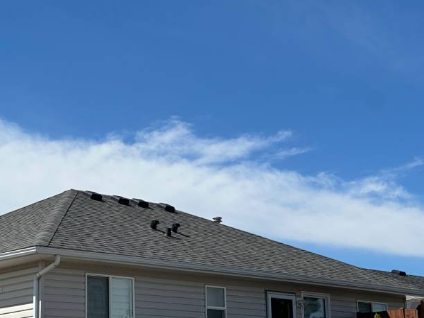 Best Chimney Flashing Repair  in White Knoll, SC