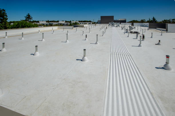 Best Roof Maintenance and Cleaning  in White Knoll, SC
